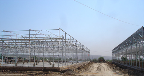 Greenhouse steel structure 温室钢结构展示
